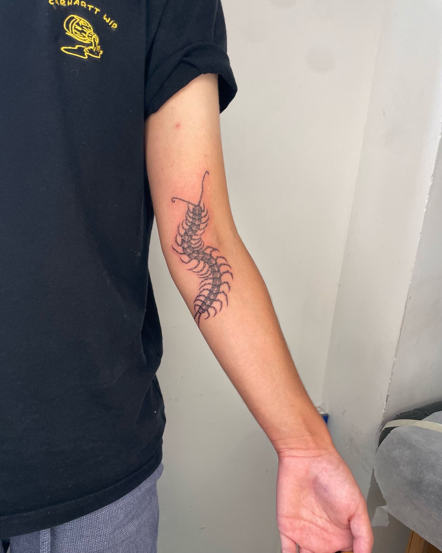 Centipede black and grey tattoo on the forearm by Anh Đan