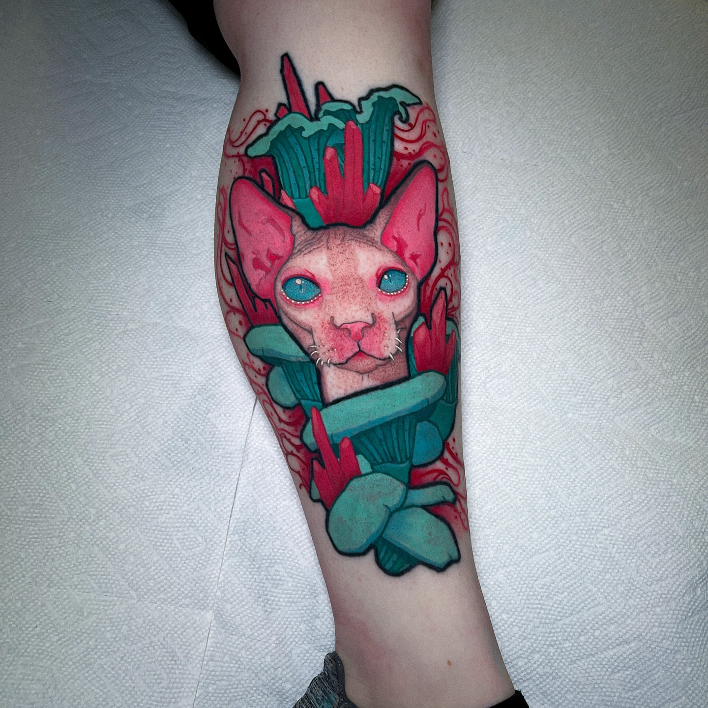 Cat with mushrooms new school tattoo on the forearm by Igor Puente