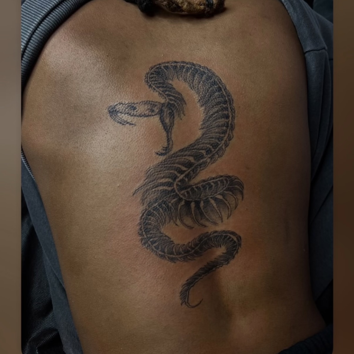 Snake black and grey tattoo on the chest by ⚜️Embodied Tattoo⚜️, Columbus, Ohio