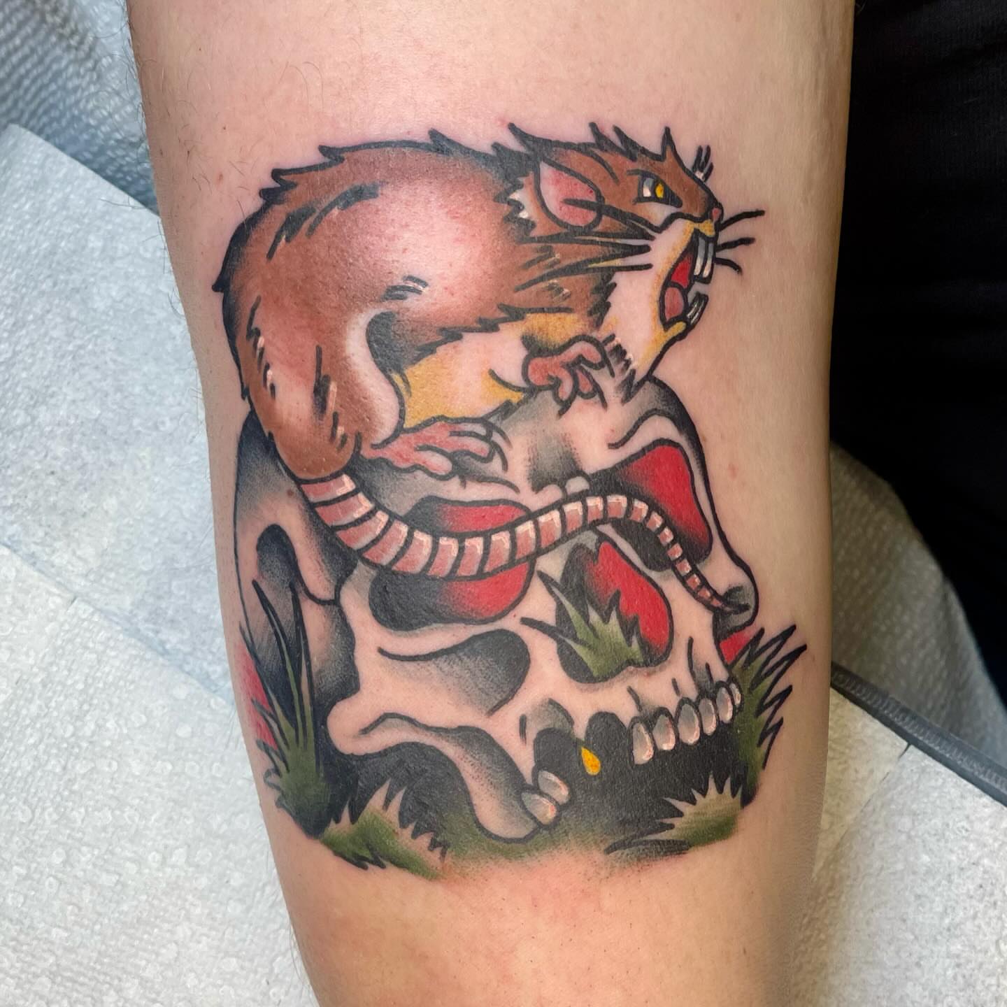 Cat and skull American traditional tattoo on the forearm by Robert Morrow