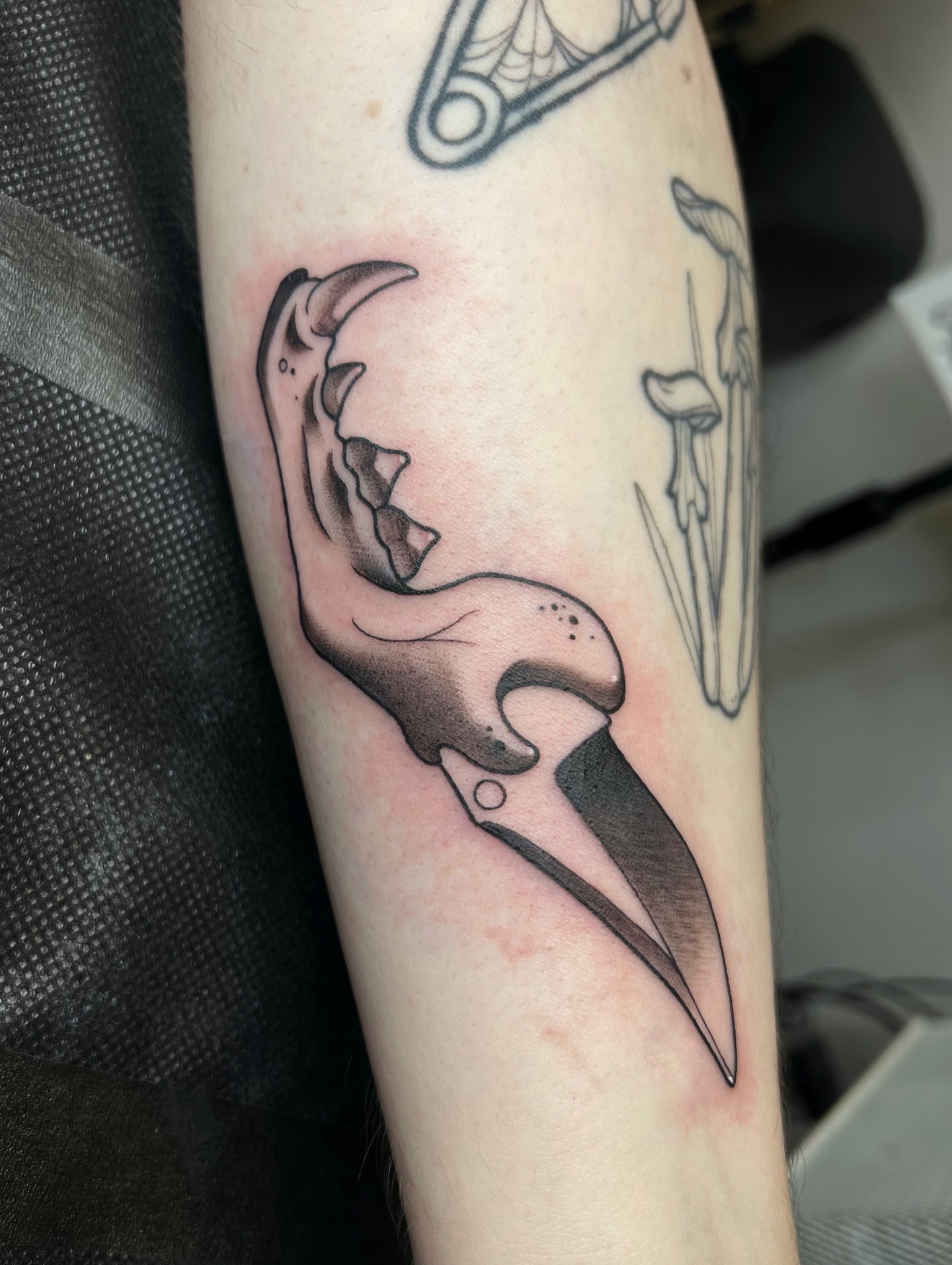 Tattoo by @zoeysageink — black_and_grey