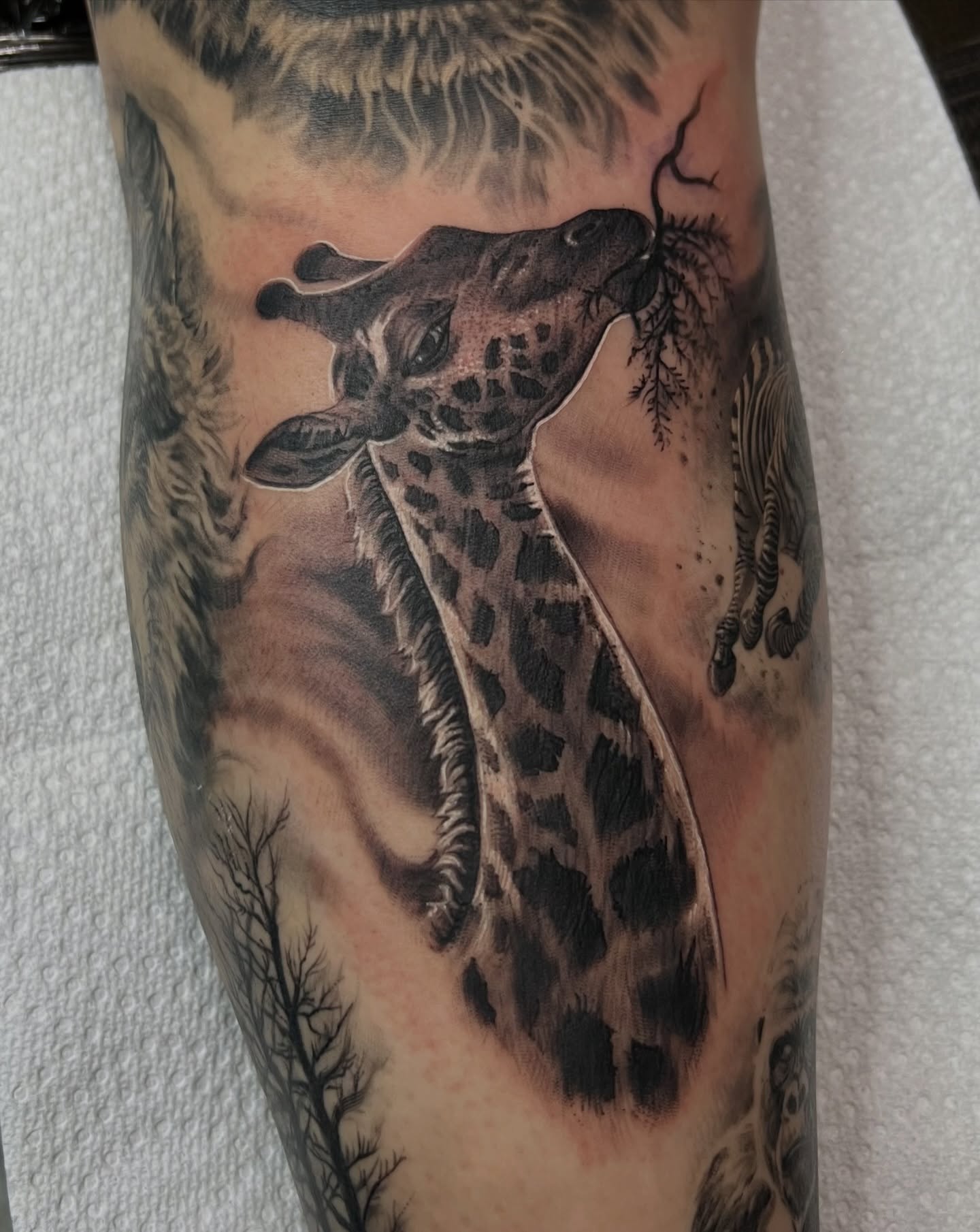 Giraffe realism tattoo on the forearm by Tony Hernandez, Chicago, Illinois