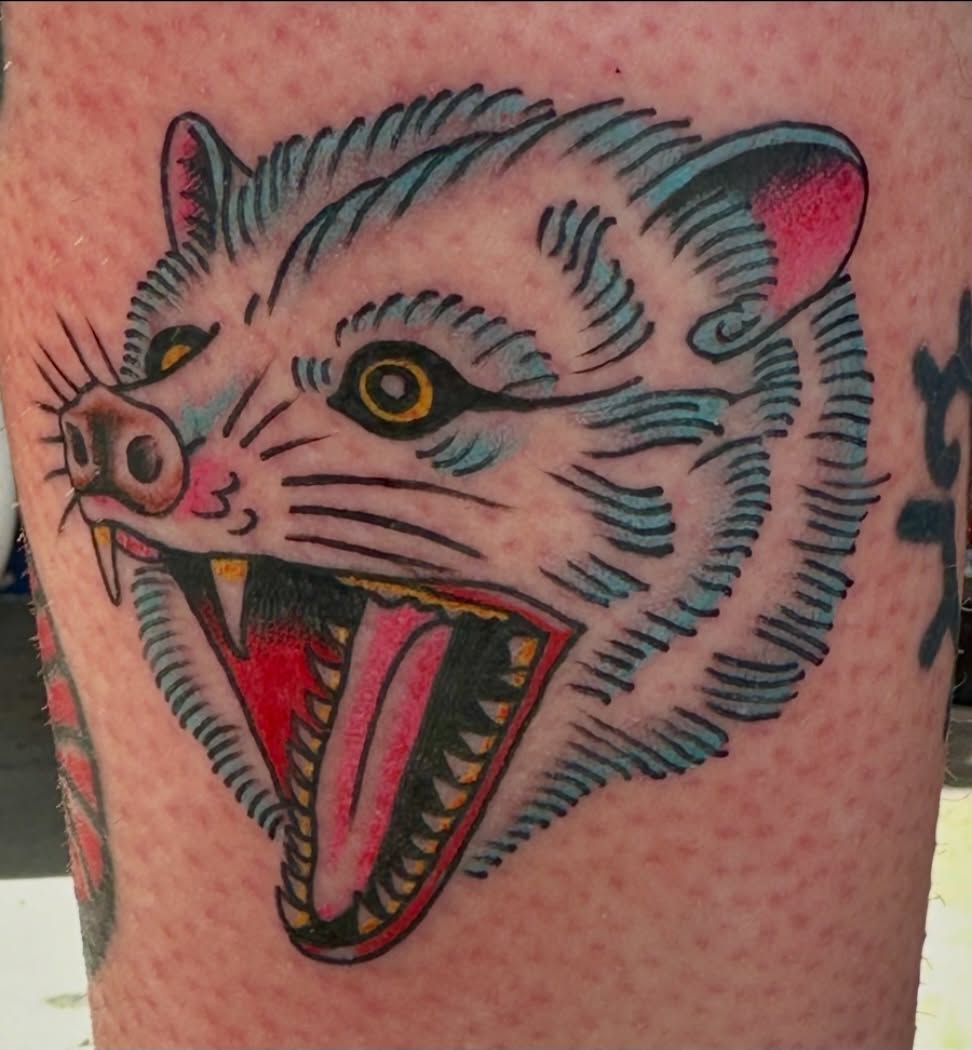Ferret American traditional tattoo on the forearm by Hayley Hendrick