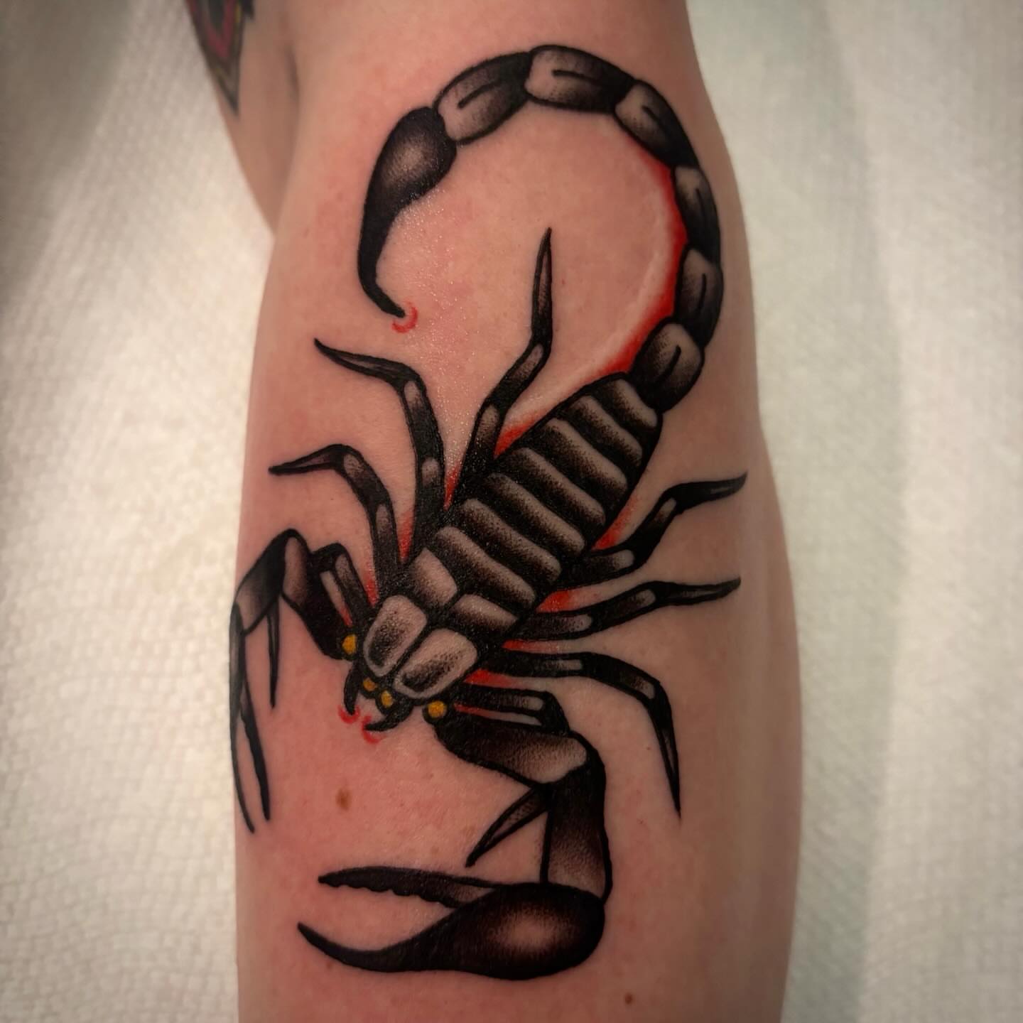 Scorpion black and grey tattoo on the forearm by Danny DiBlasi, San Francisco, California