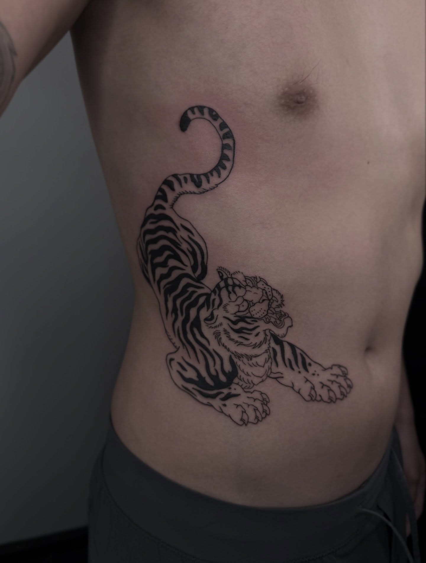 Tiger black and grey tattoo on the ribs by Brandon Shelby