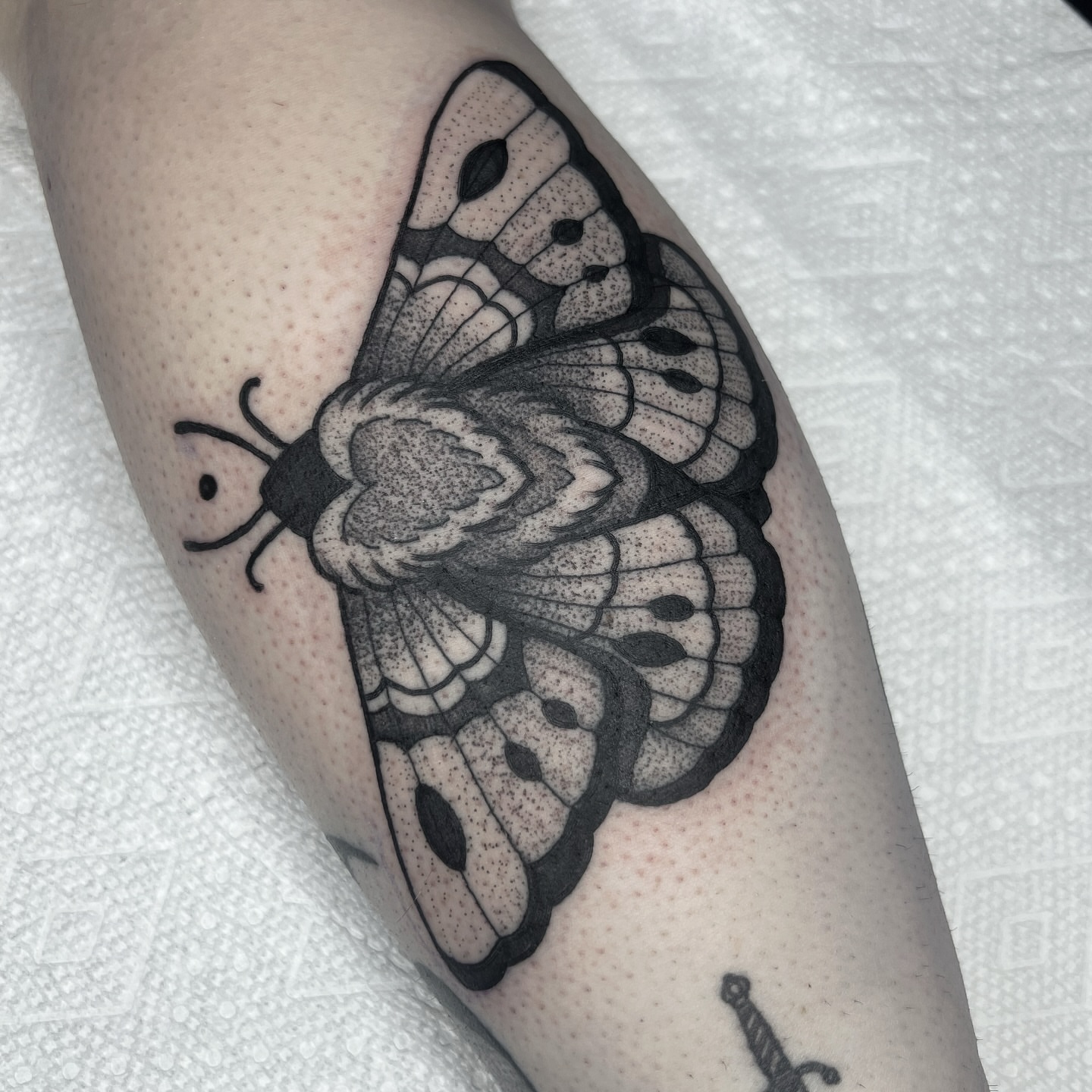 Butterfly dotwork tattoo on the forearm by 𝑴𝑬𝑮𝑨𝑵 𝑪𝑳𝑰𝑭𝑻𝑶𝑵, Cincinnati, Ohio