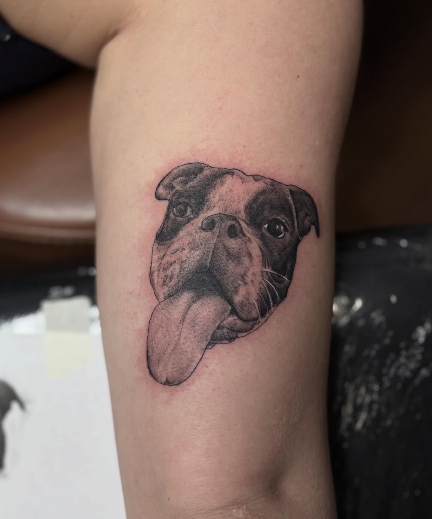 Bulldog realism tattoo on the forearm by Kyle Ketzler