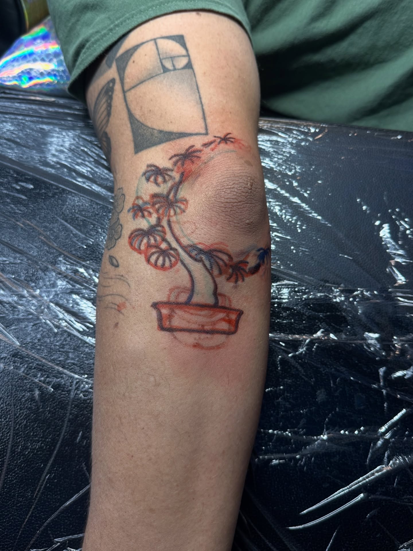 Bonsai tree geometric tattoo on the forearm by Gabriel F Kingston Beitia
