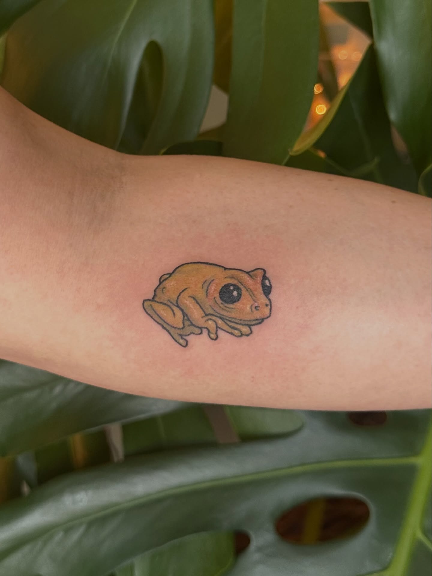 Frog realism tattoo on the forearm by Ransom
