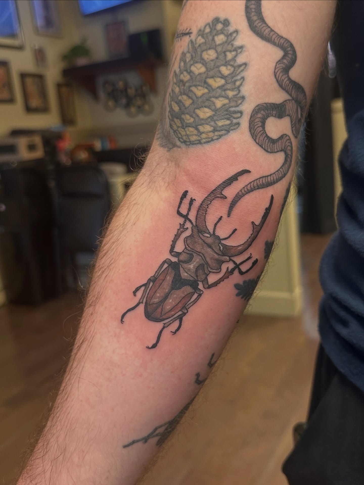 Stag beetle realism tattoo on the forearm by Ransom