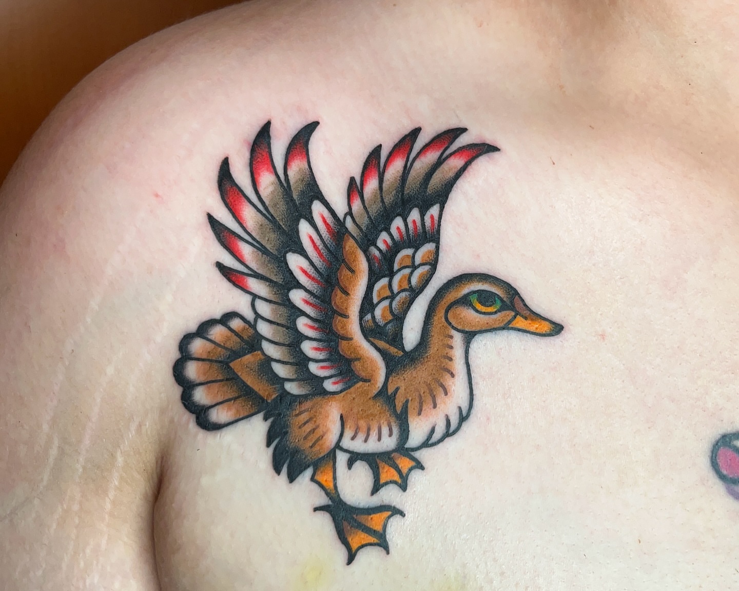 Flying duck American traditional tattoo on the shoulder by Nat Power