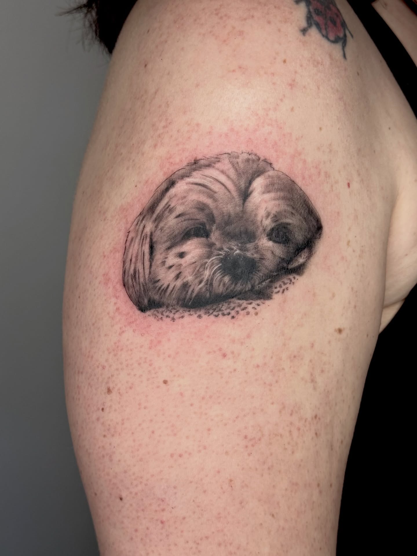 Tattoo by @yani.inkz — realism