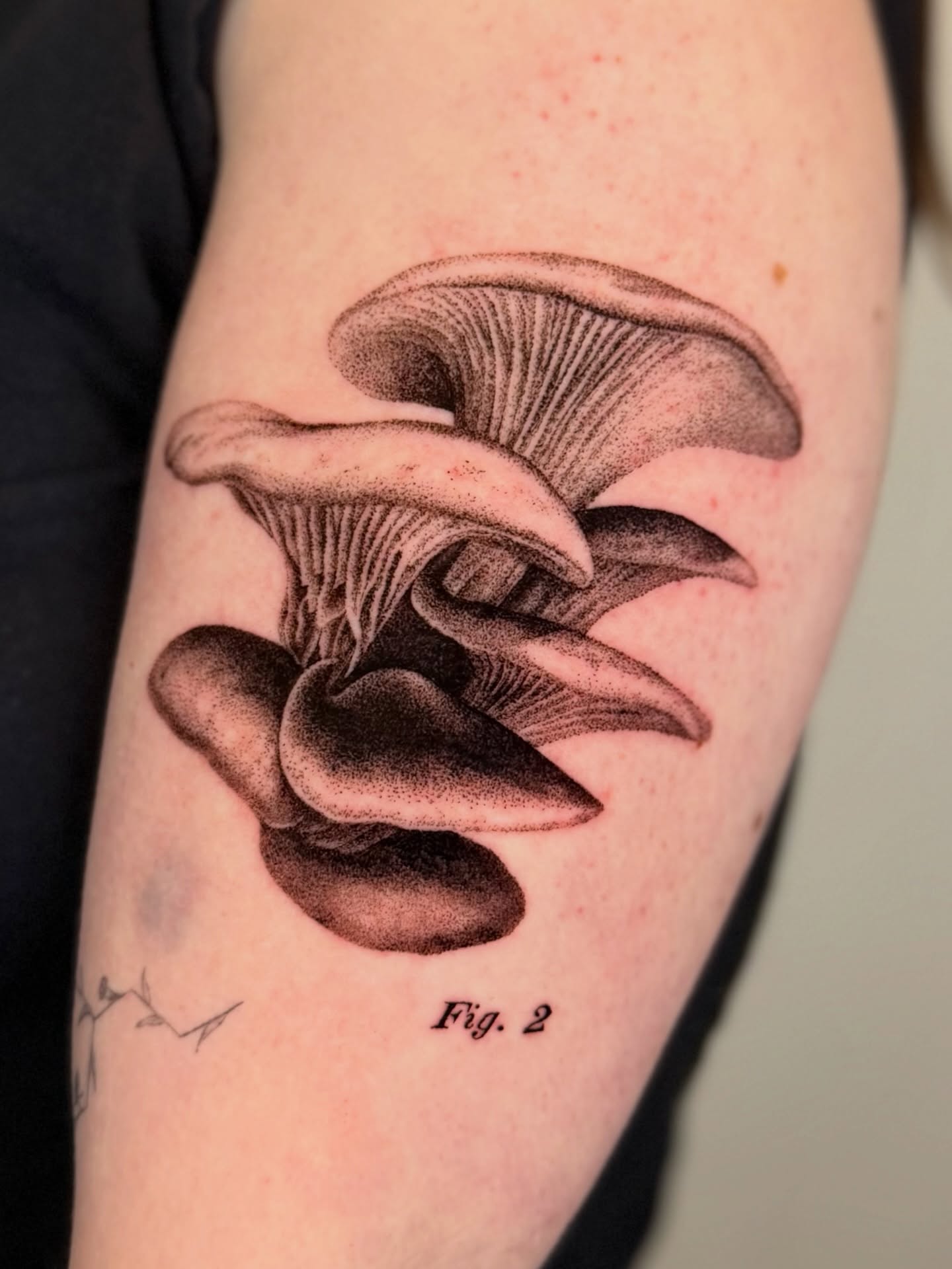 Tattoo by @redrooktattoo — dotwork