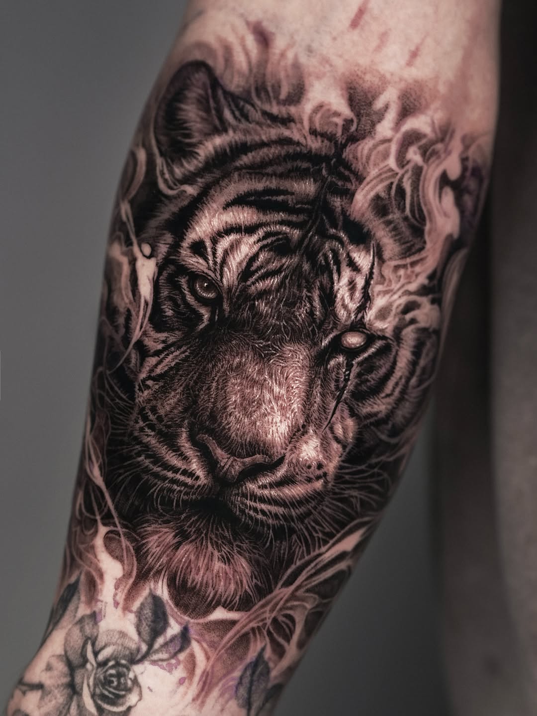 Tiger face with smoke realism tattoo on the forearm by Sumok Kim