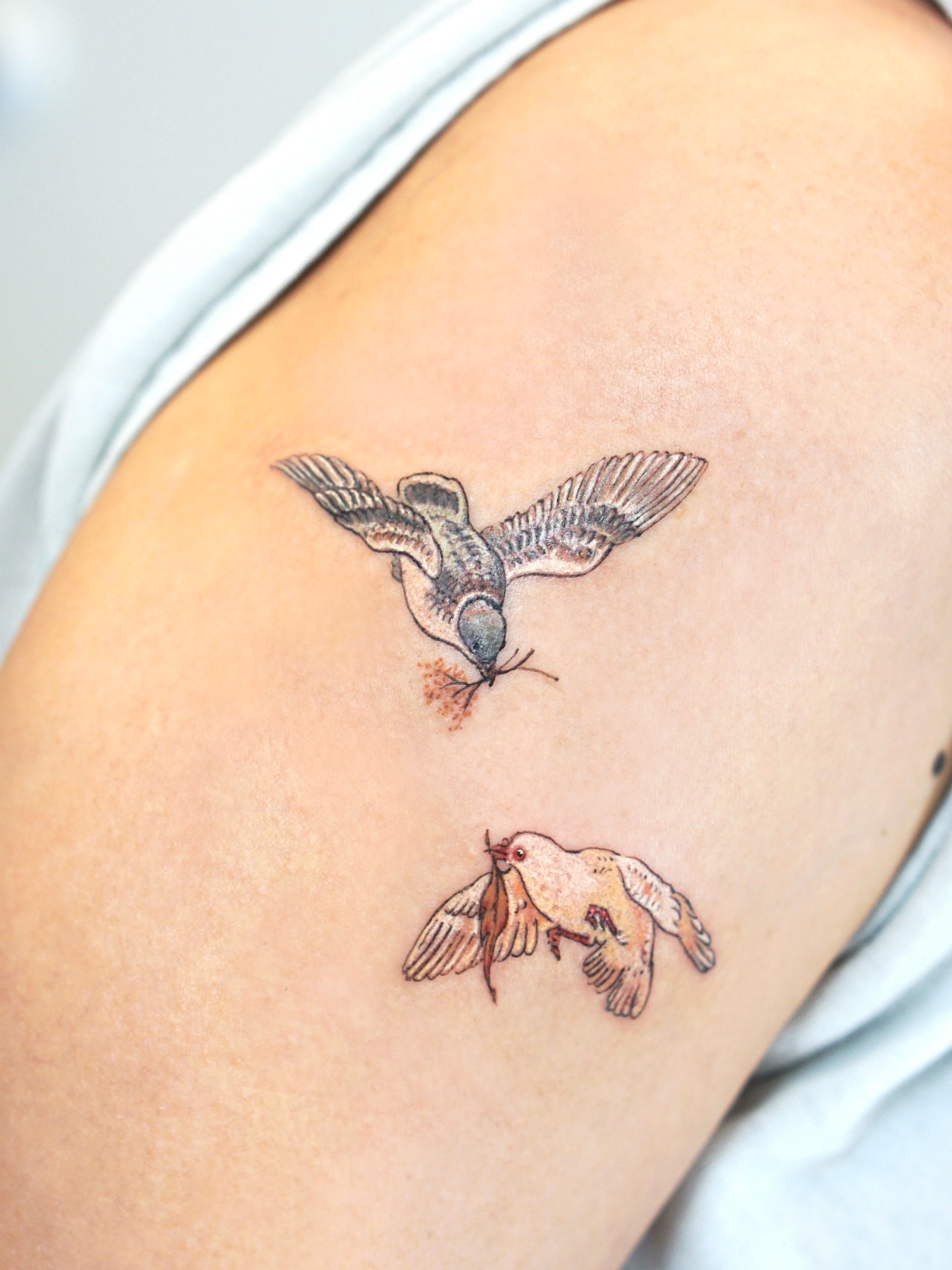 Birds realism tattoo on the upper arm by Isle