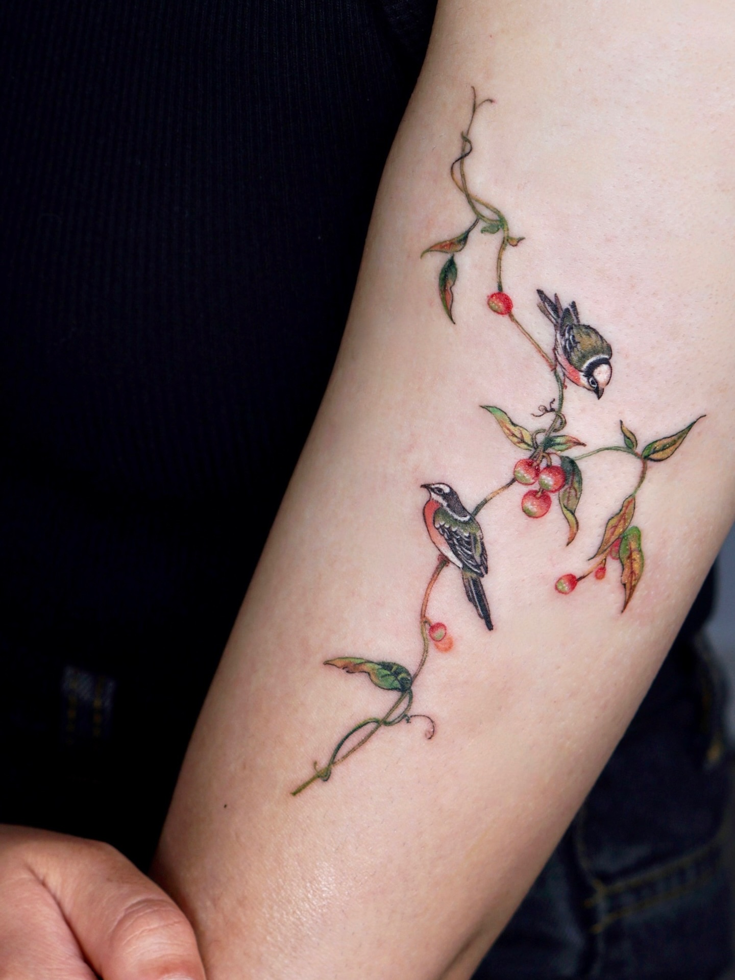 Birds and berries realism tattoo on the forearm by Isle