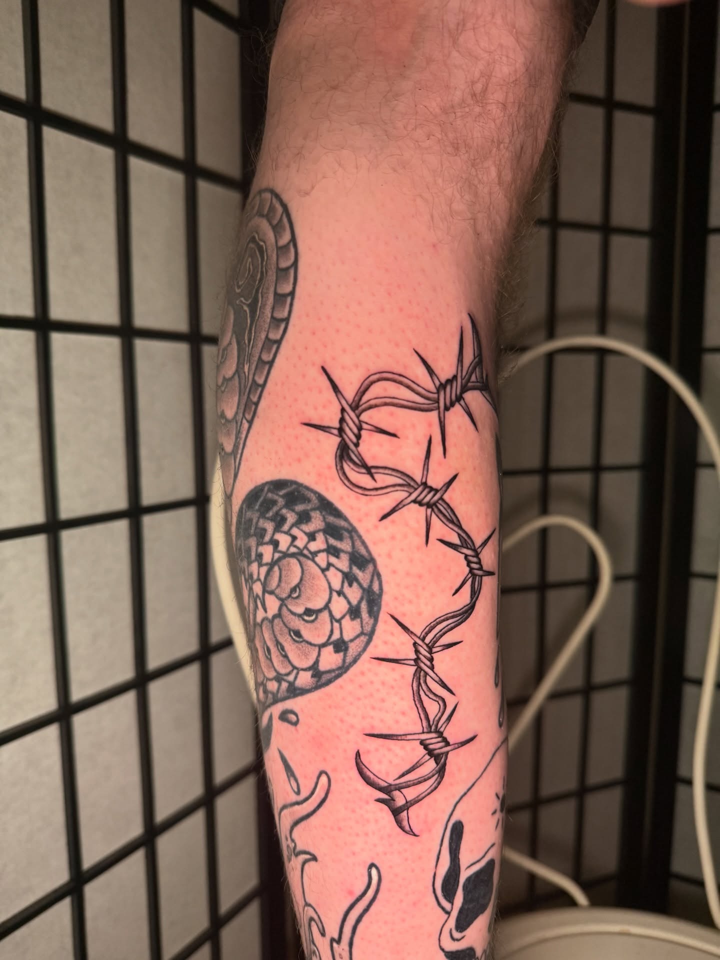 Barbed wire and snake black and grey tattoo on the forearm by Austin Poliszuk, Minneapolis, Minnesota