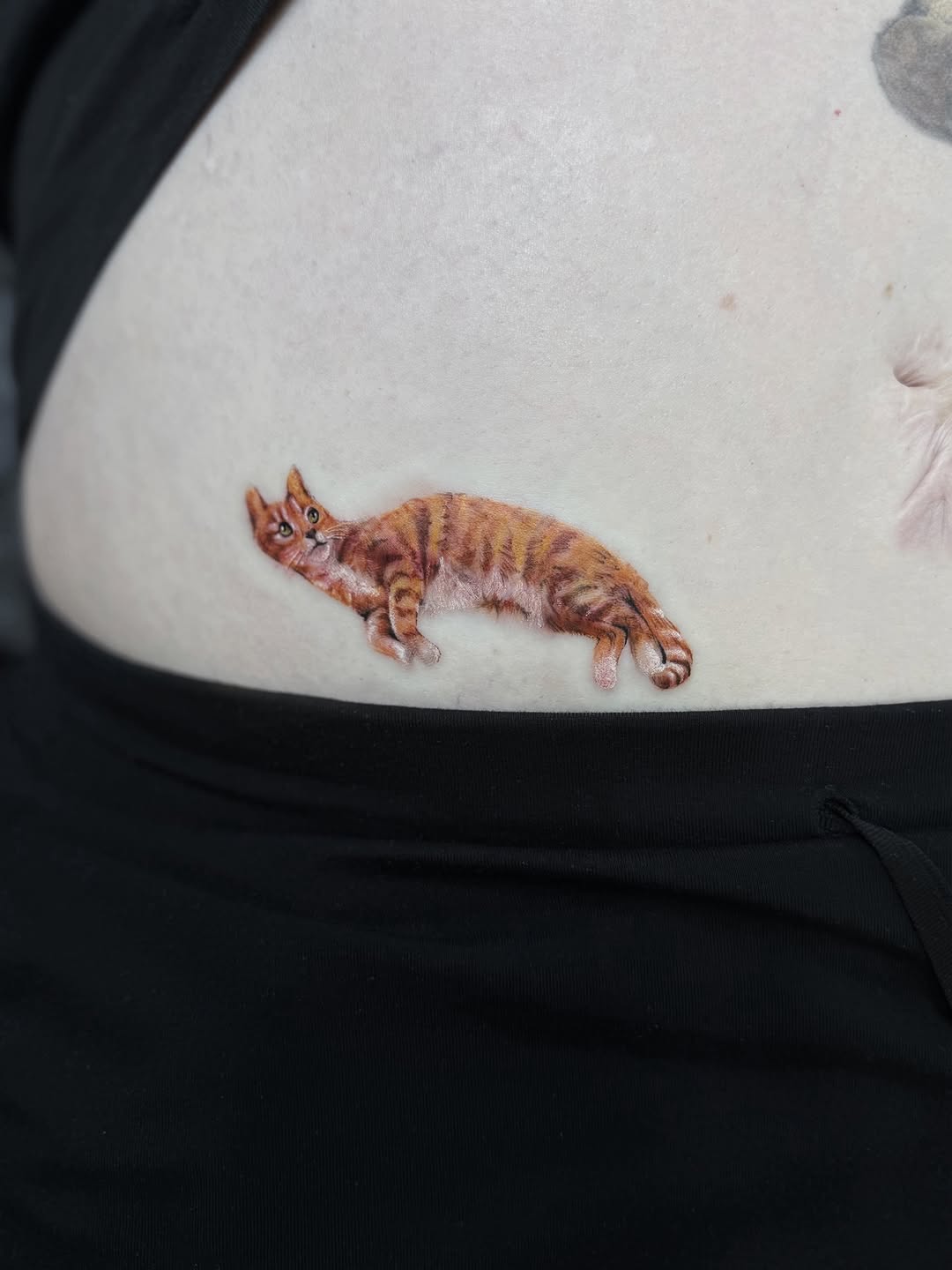 Orange tabby cat realism tattoo on the torso by Nance⚡