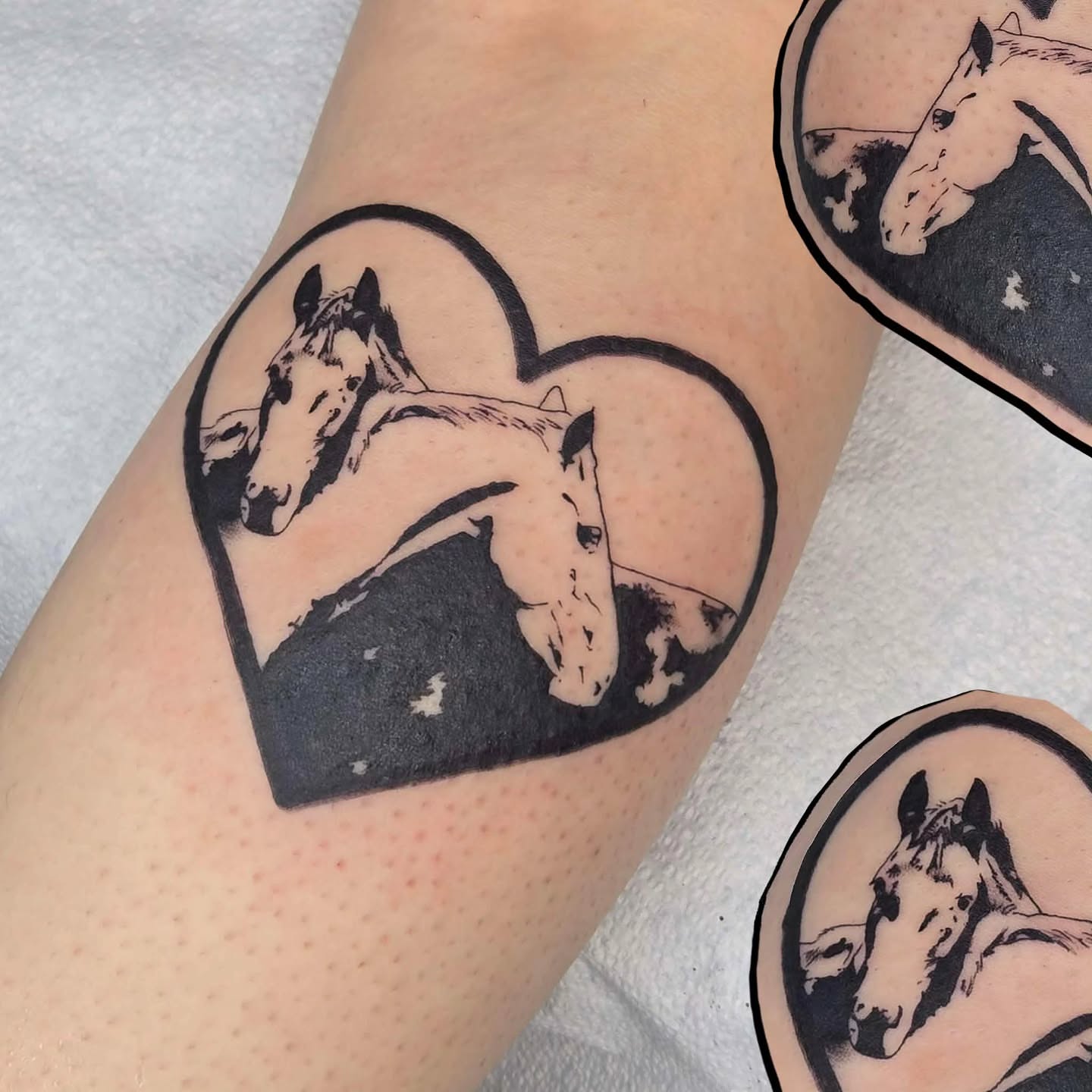 Horse black and grey tattoo on the forearm by alec