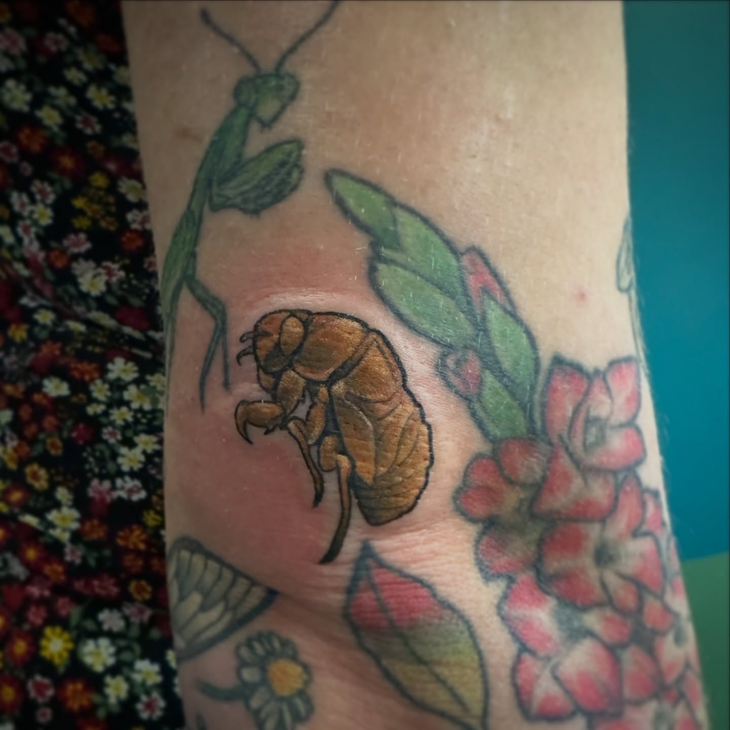 Insect and flowers realism tattoo on the forearm by Katie Hutchins, Dayton, Ohio