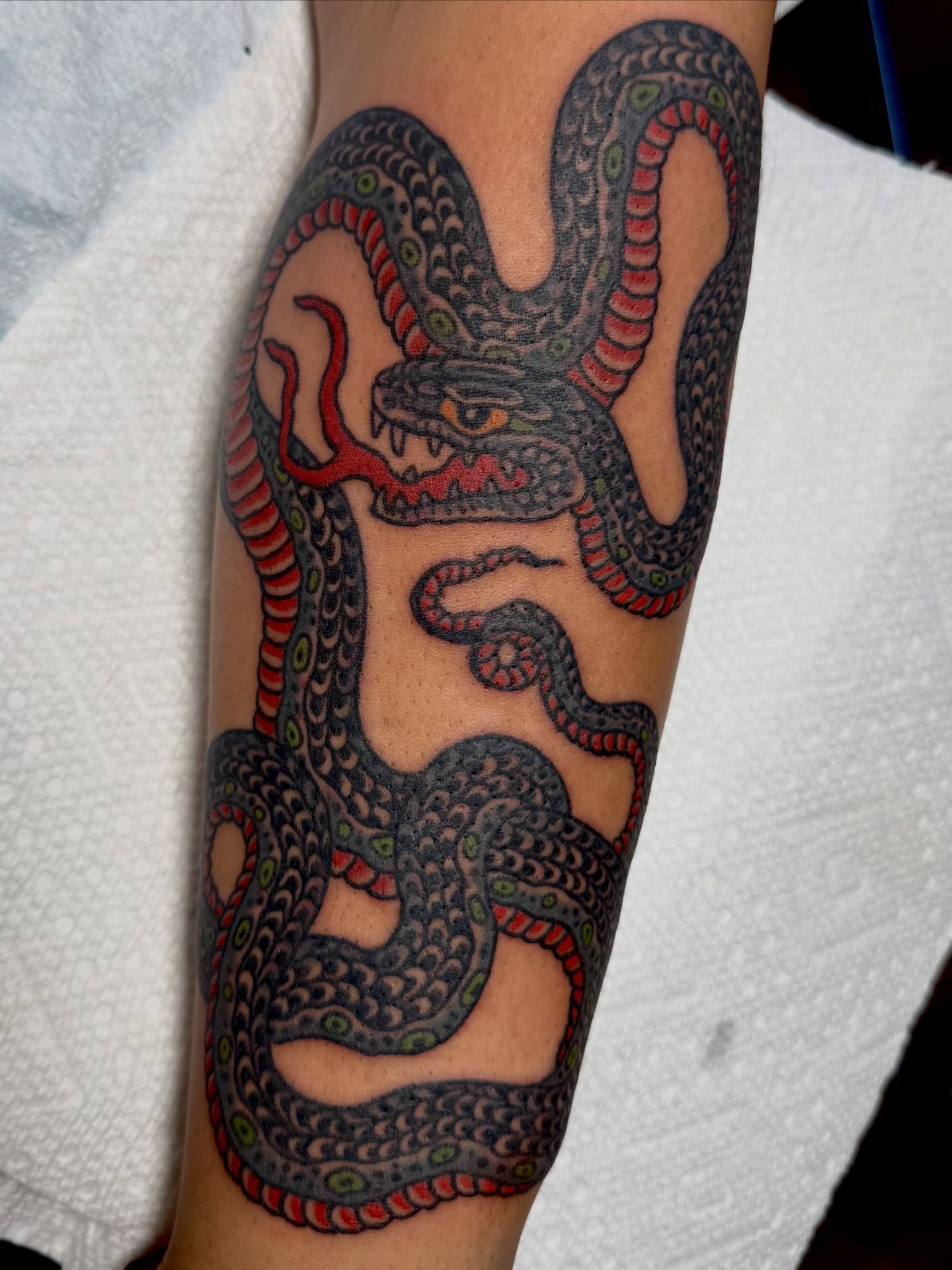 Snake American traditional tattoo on the forearm by Jesse Swanson, Santa Rosa, California