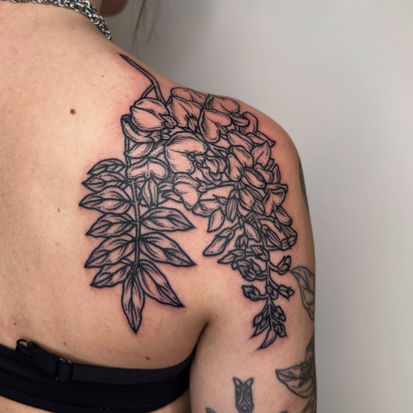 Wisteria black and grey tattoo on the shoulder by rosalie
