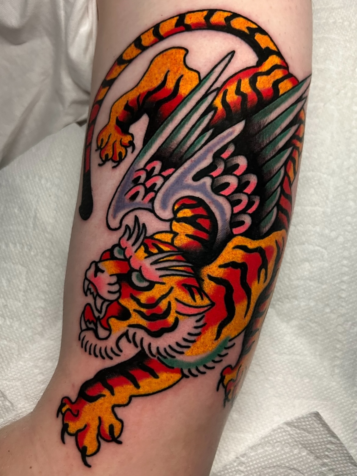 Tiger American traditional tattoo on the forearm by Mitch Hoggard