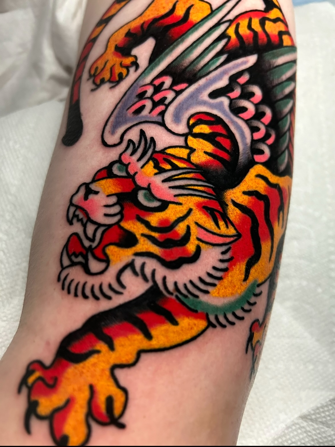 Tiger American traditional tattoo on the forearm by Mitch Hoggard