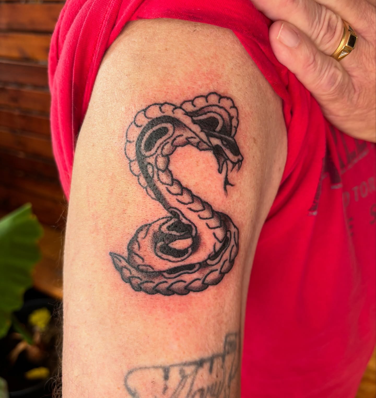 Snake black and grey tattoo on the forearm by Lilly Evans