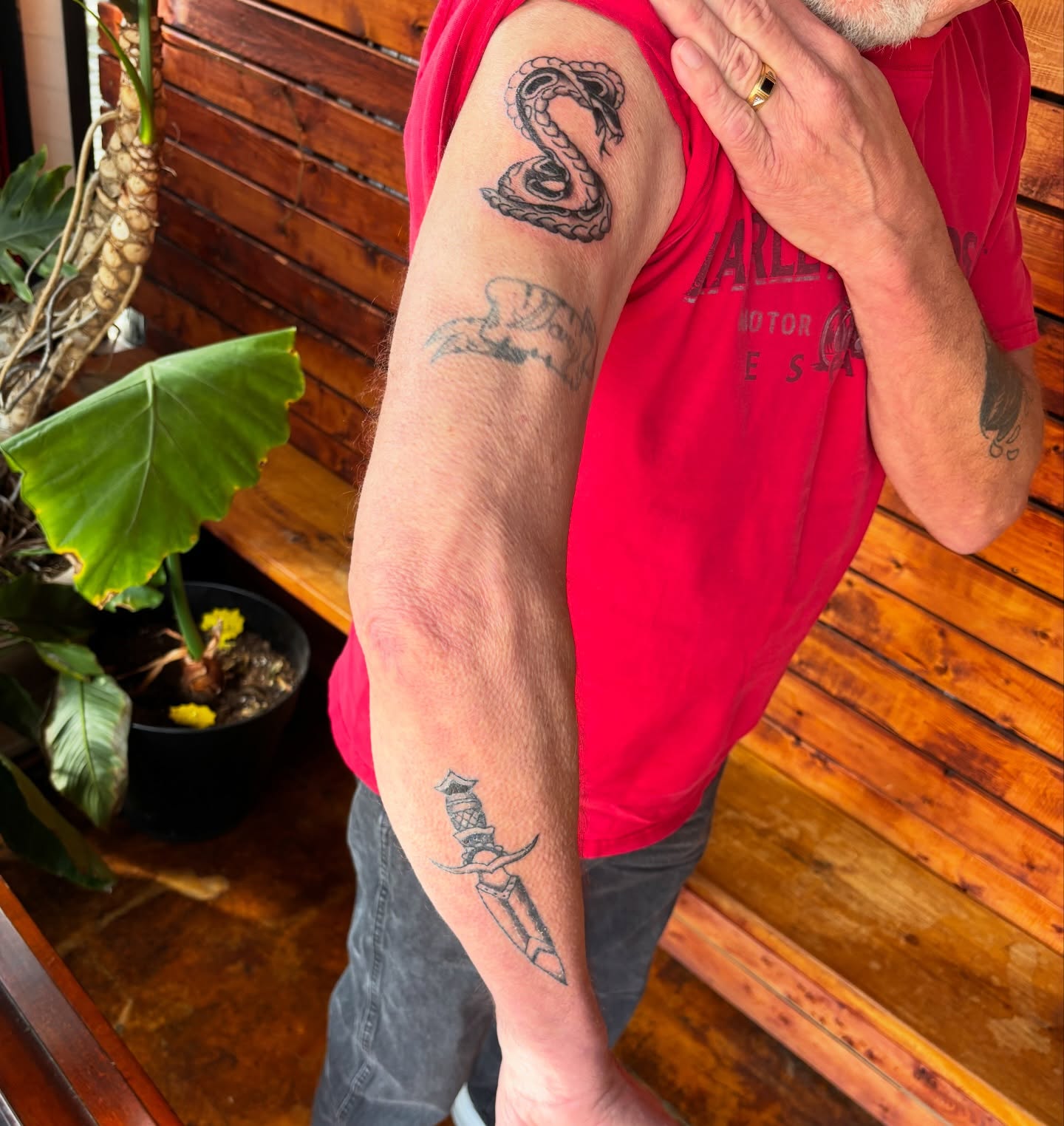 Snake and dagger American traditional tattoo on the forearm by Lilly Evans