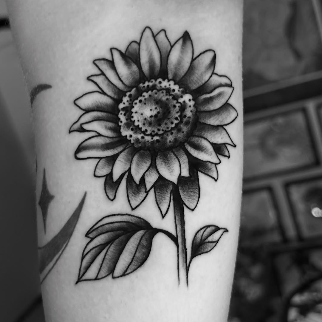 Sunflower fine line tattoo on the forearm by Olivia Marie