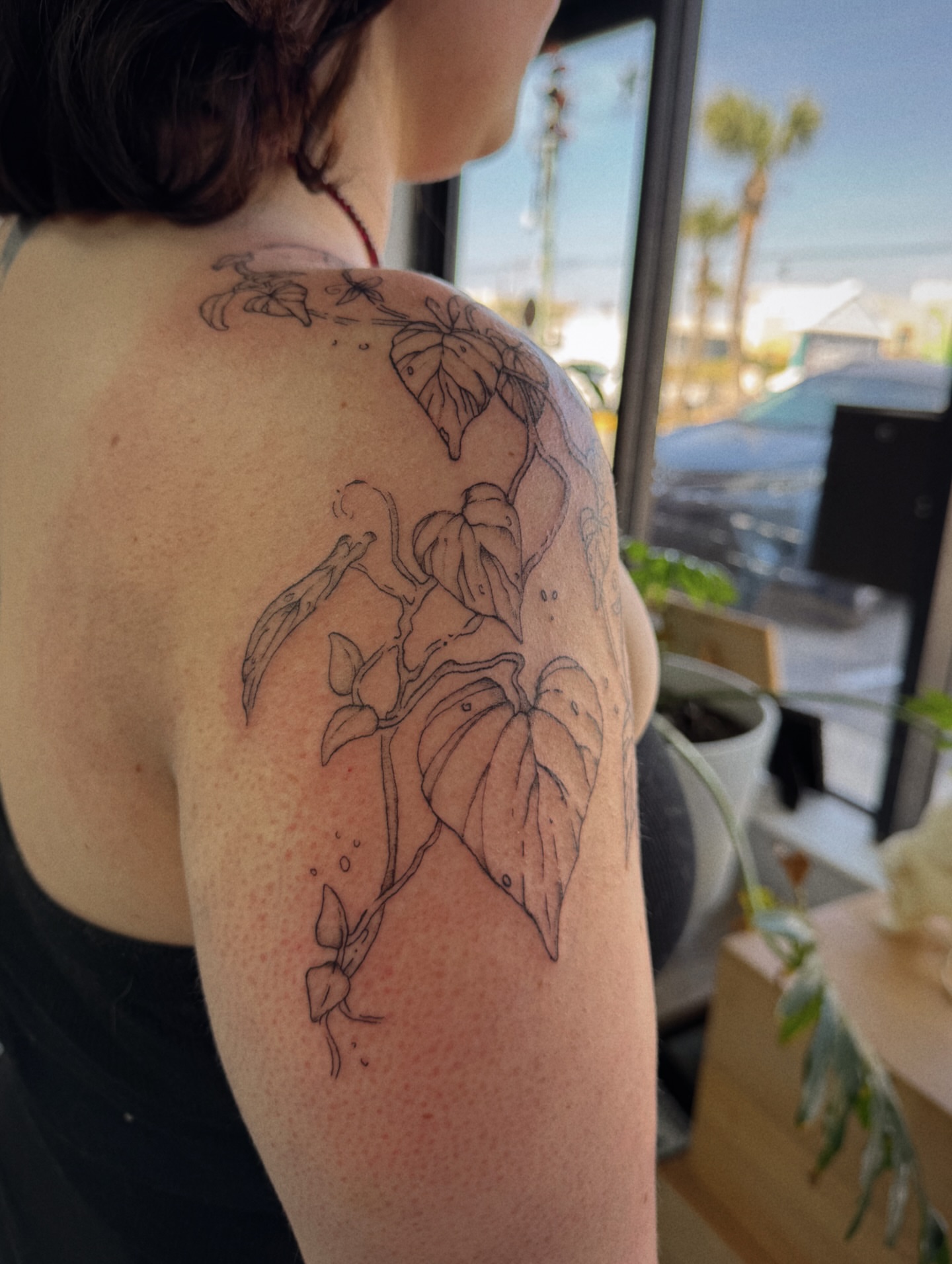 Plant vine fine line tattoo on the shoulder by Lindsay