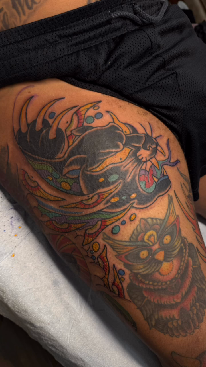 Dragon and cat japanese irezumi tattoo by Waylon
