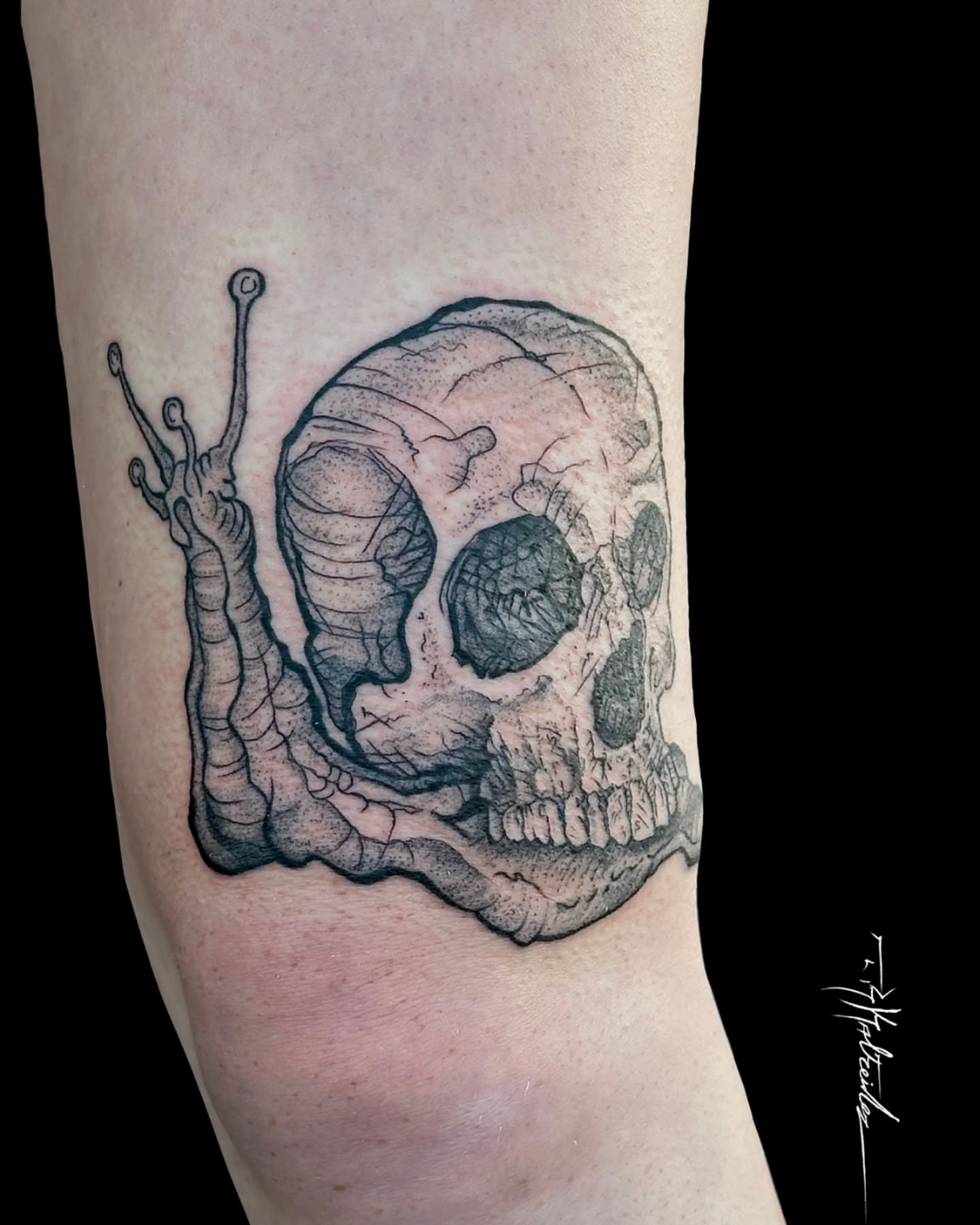 Tattoo by @trkaltreider — black_and_grey, realism
