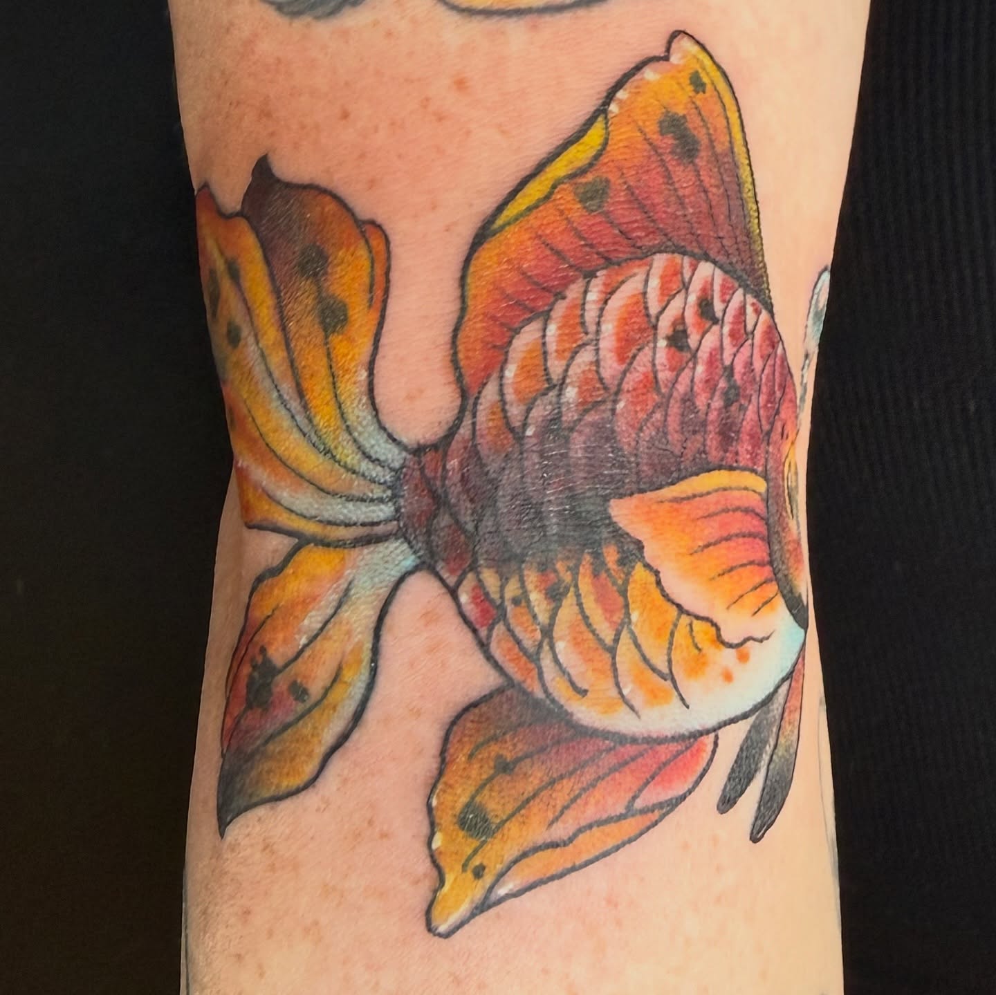 Tattoo by @tattoocoupdetat — american_traditional