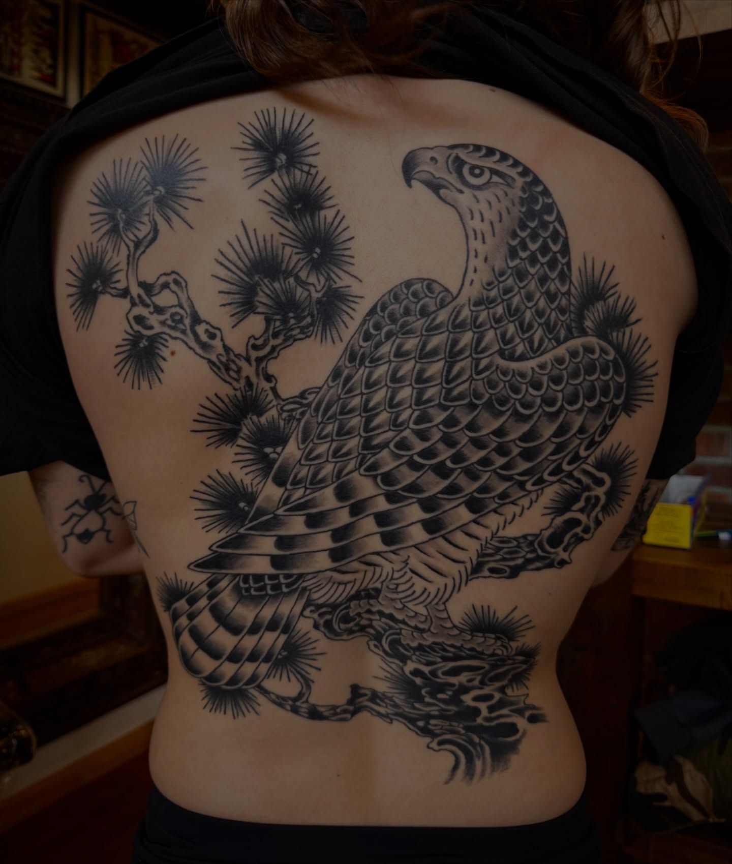 Hawk and pine tree American traditional tattoo on the back by Jesse Swanson, Santa Rosa, California