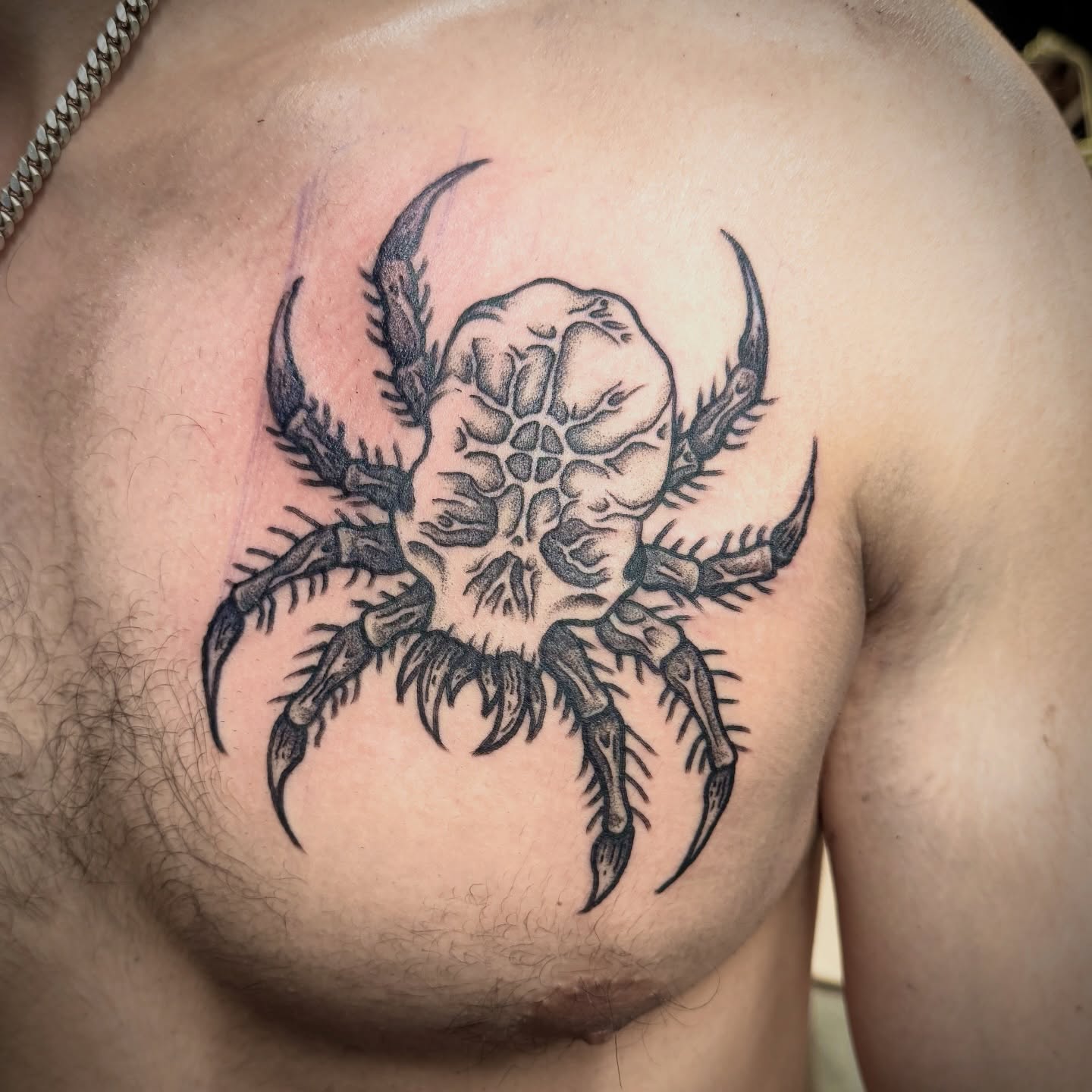 Spider black and grey tattoo on the chest by Seth Christianson