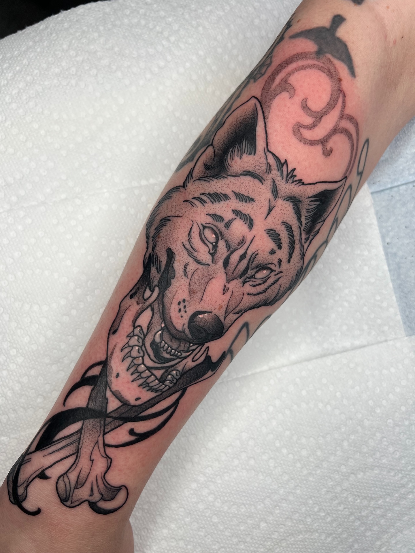 Wolf black and grey tattoo on the forearm by Nathan Garcia