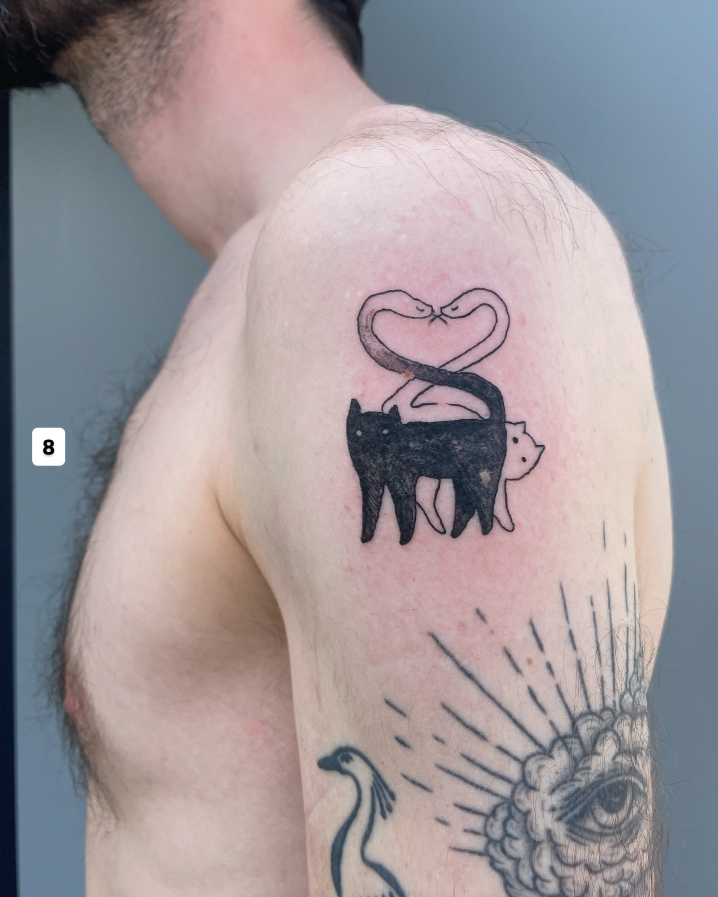Cat and snake black and grey tattoo on the shoulder by Eden Kalif