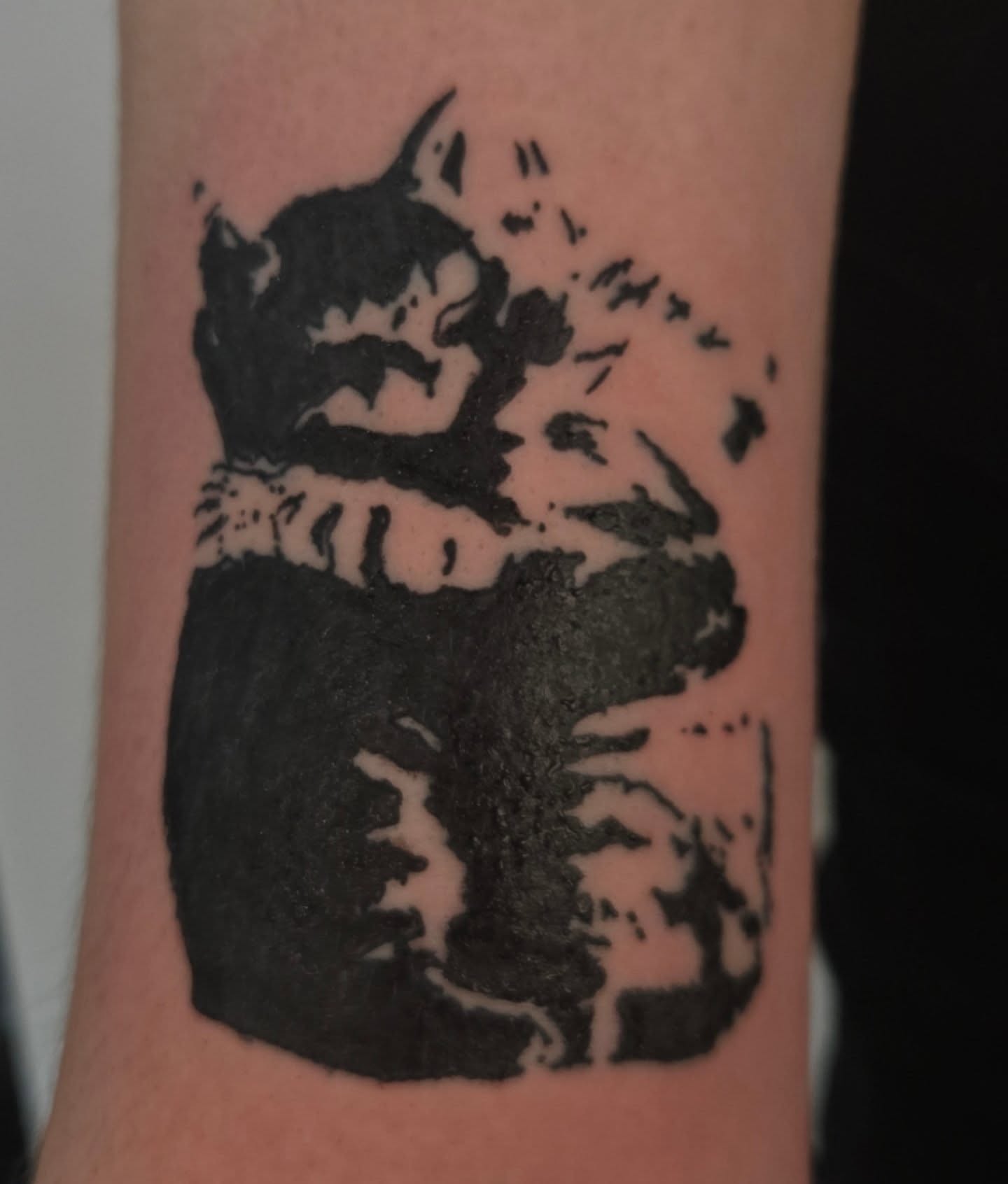 Cat black and grey tattoo on the forearm by Lane