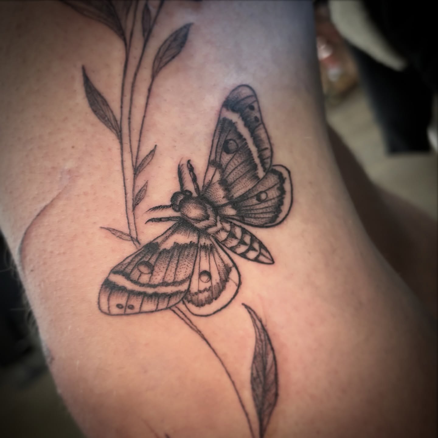 Butterfly black and grey tattoo on the thigh by Caitlin Curtis Tattoos & Booking, Dayton, Ohio