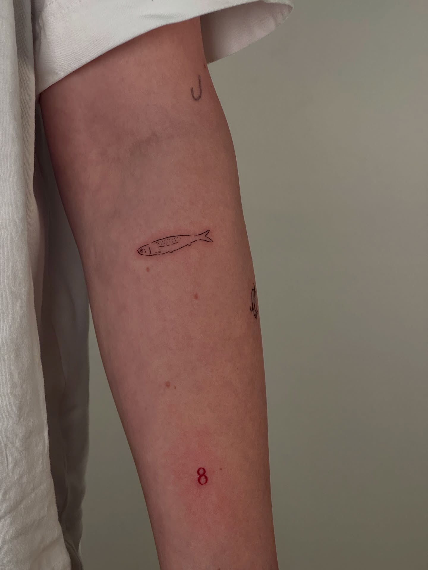 Fish minimalist tattoo on the forearm by Jules Ink ⋆ Fineline Tattoo
