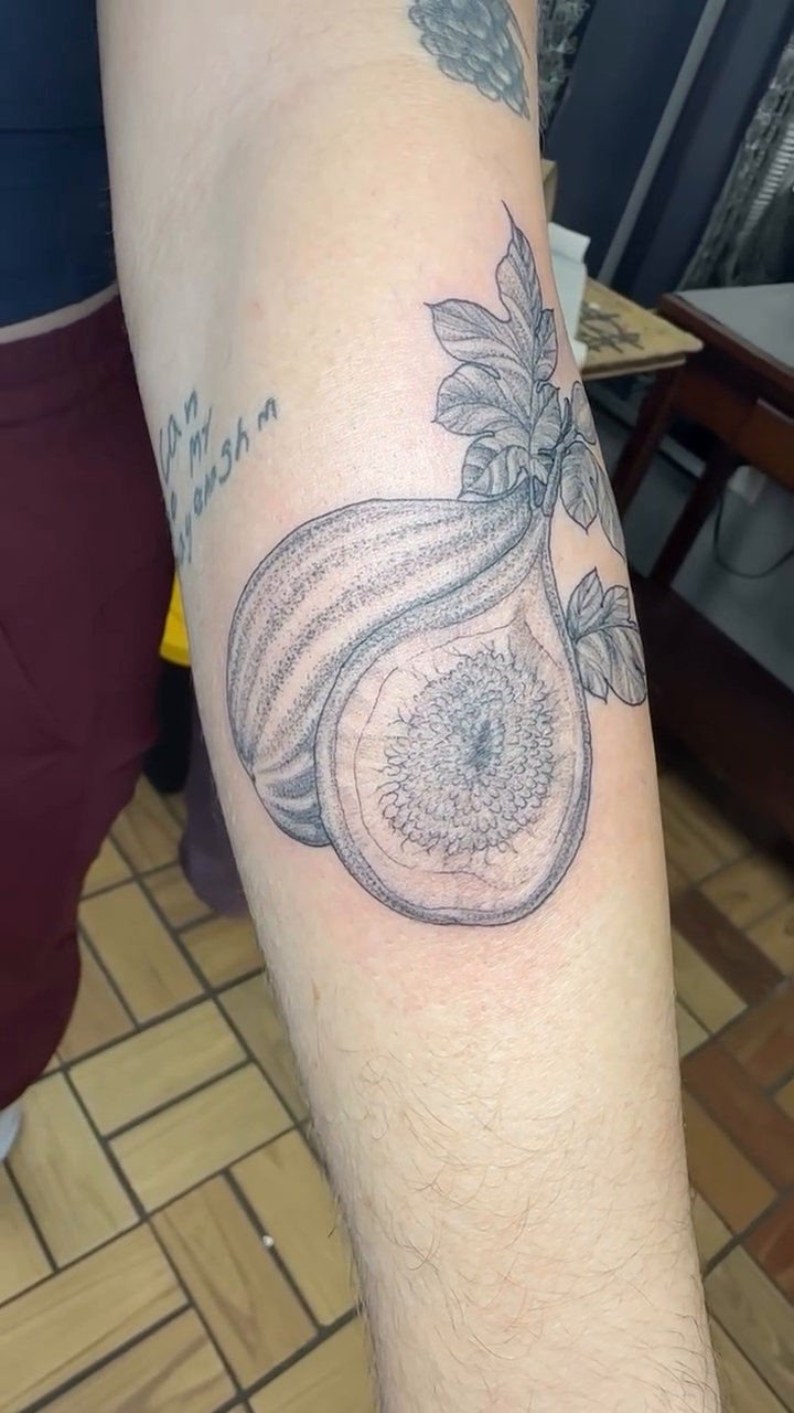 Fig tattoo sketch tattoo on the forearm by vannadoestattoos