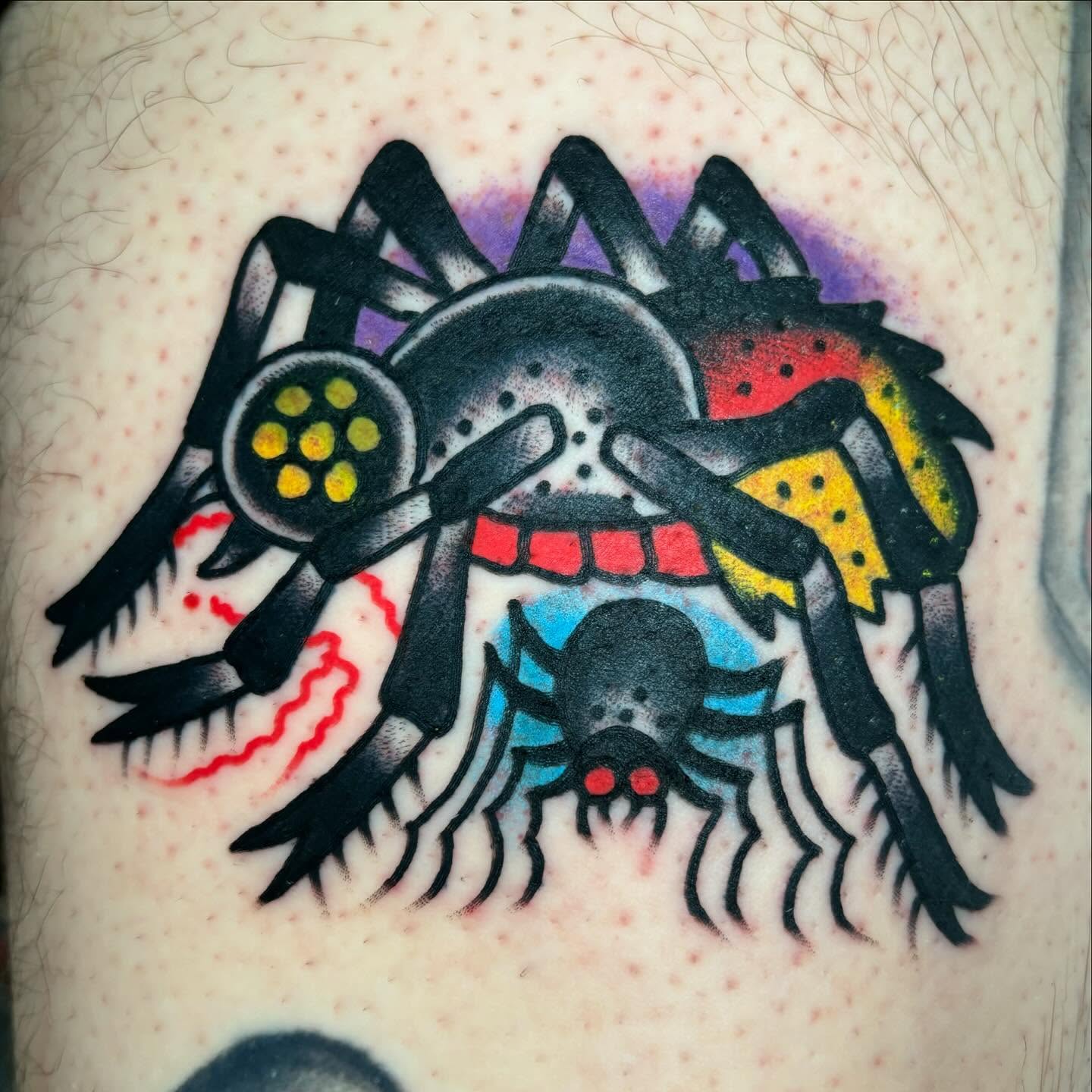 Spider American traditional tattoo on the thigh by ~pooty~