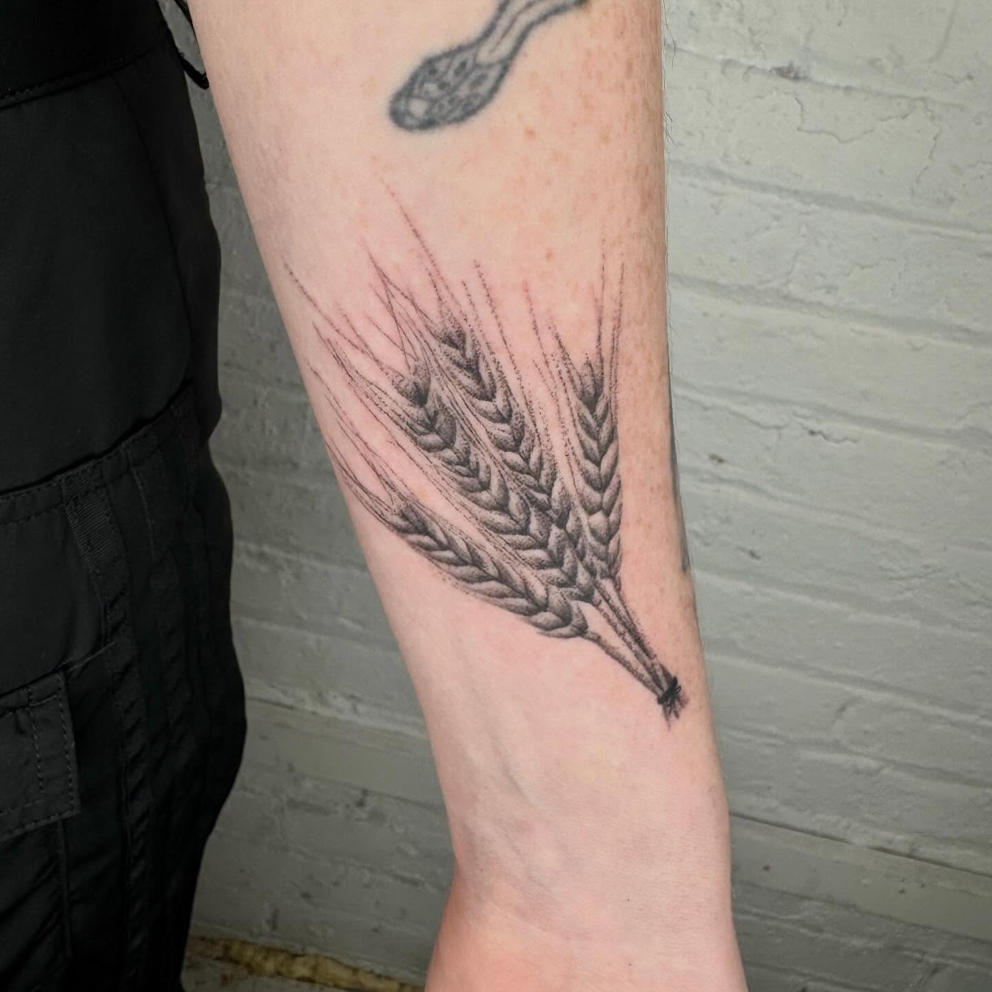Wheat ear black and grey tattoo on the forearm by Kenny ๐ด