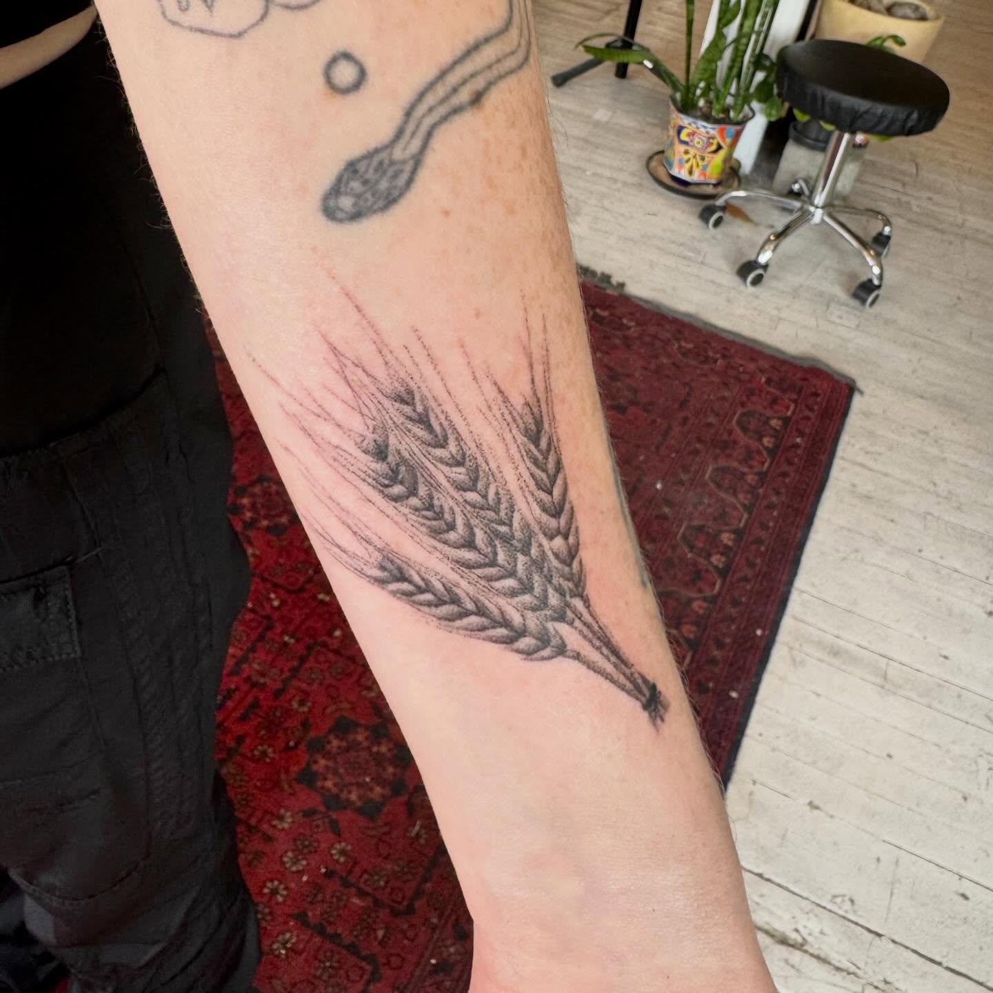 Wheat ear dotwork tattoo on the forearm by Kenny ๐ด
