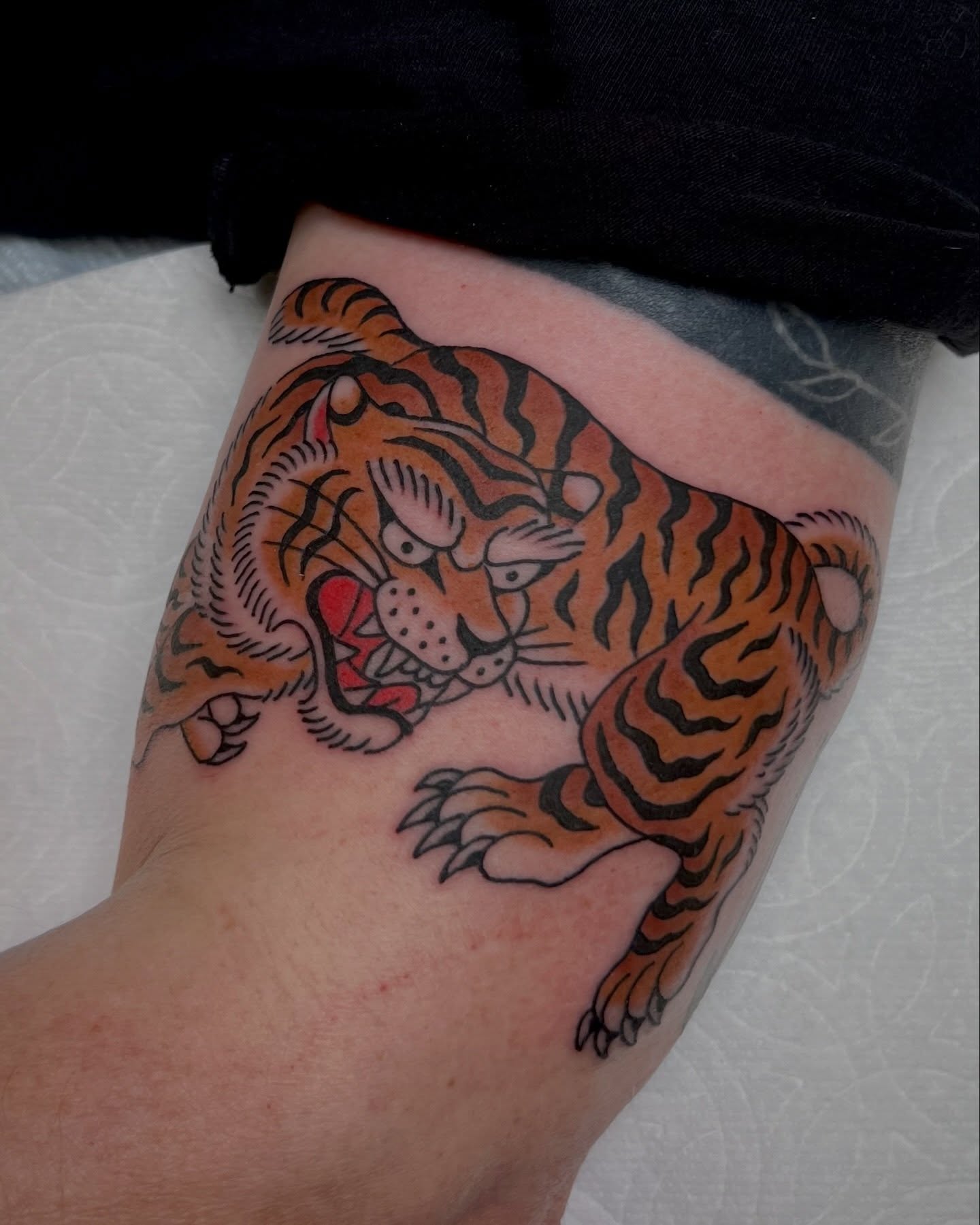 Tiger American traditional tattoo on the thigh by Brian Visser