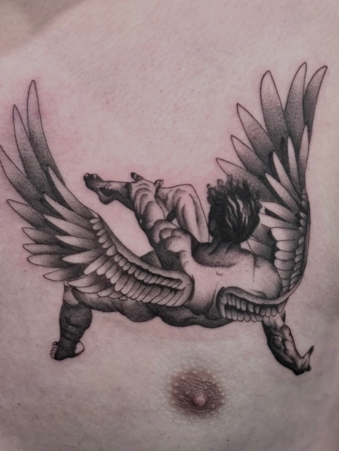 Winged creature black and grey tattoo on the chest by Elise Lamoureux- Tattoo Artist, Airdrie, Alberta