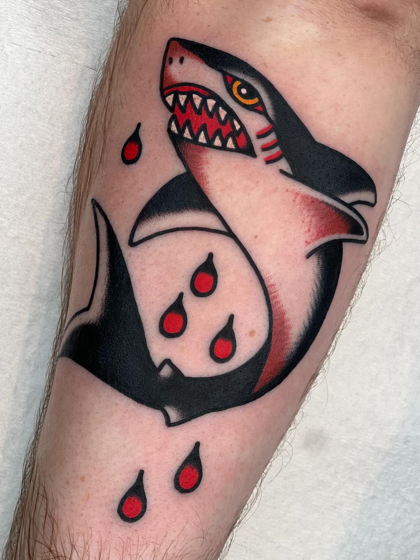 Shark American traditional tattoo on the forearm by Blake Francis, Worcester, Massachusetts