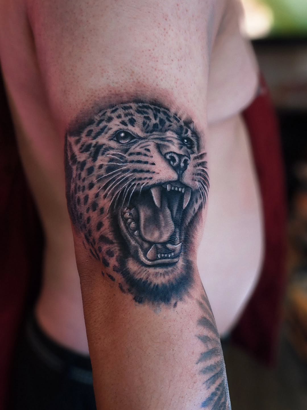 Roaring leopard realism tattoo on the forearm by Luke Jordan Ink, Louisville, Colorado